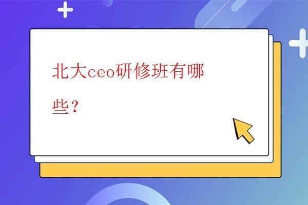 北大ceo研修班有哪些？
